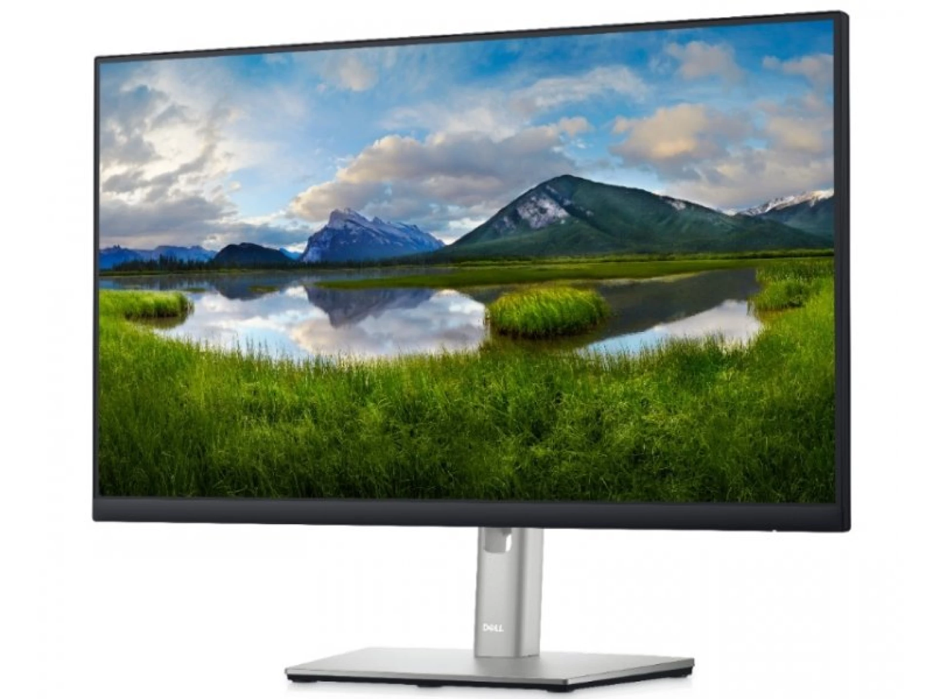 Dell Monitor P2422H IPS 23.8"