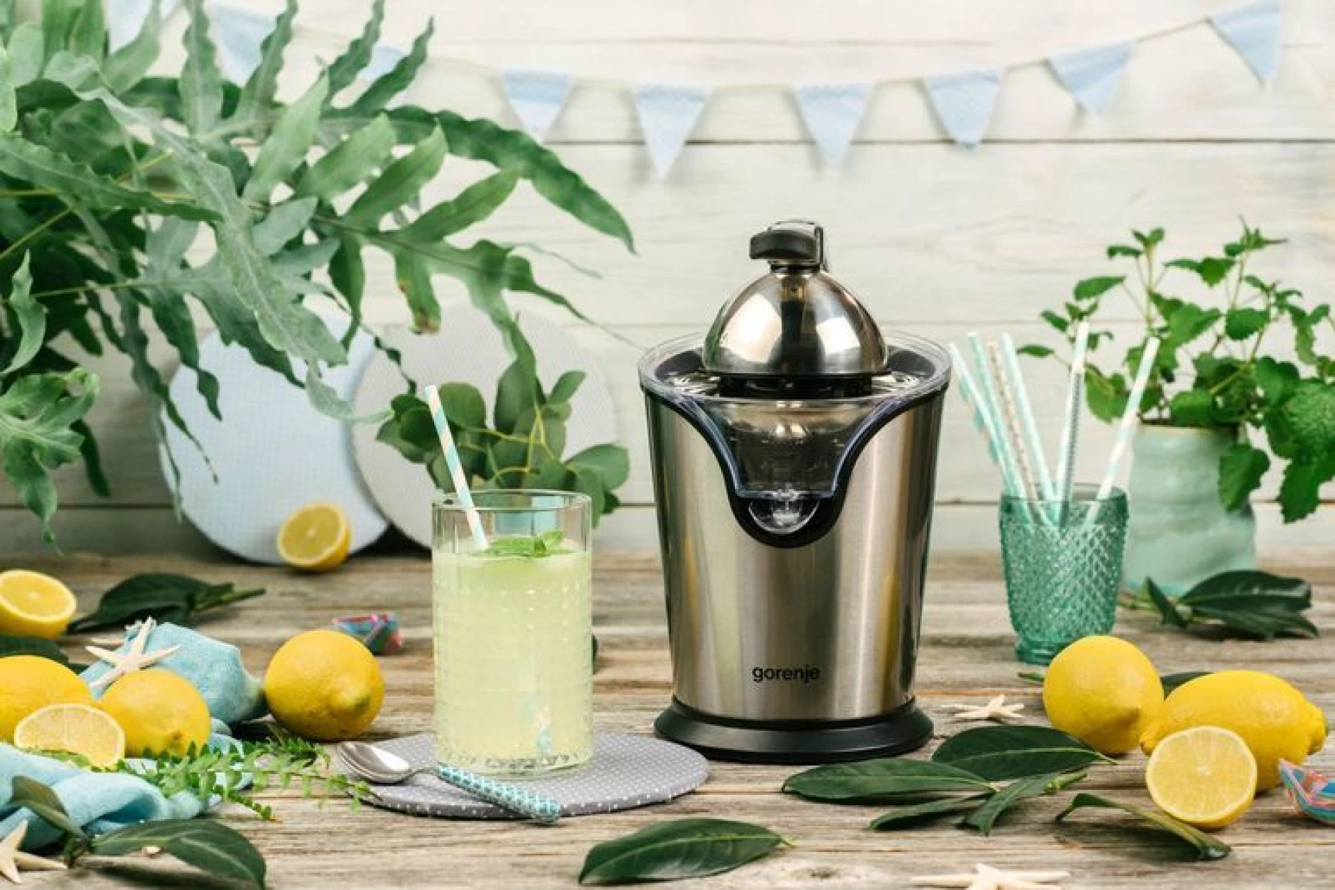 Gorenje Cediljka za citruse CJ100HE