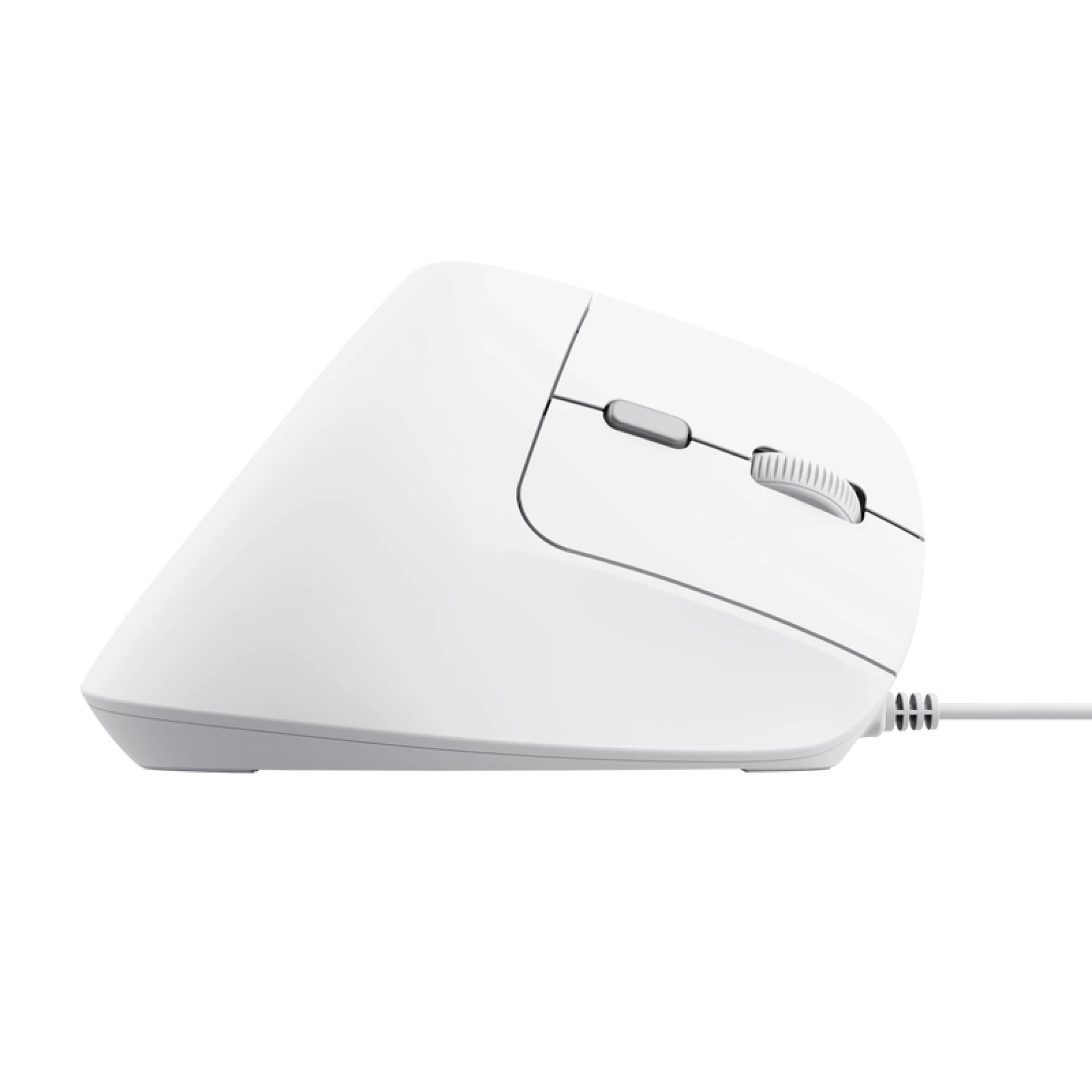 TRUST BAYO II ERGONOMSKI MIŠ (25397) BELI