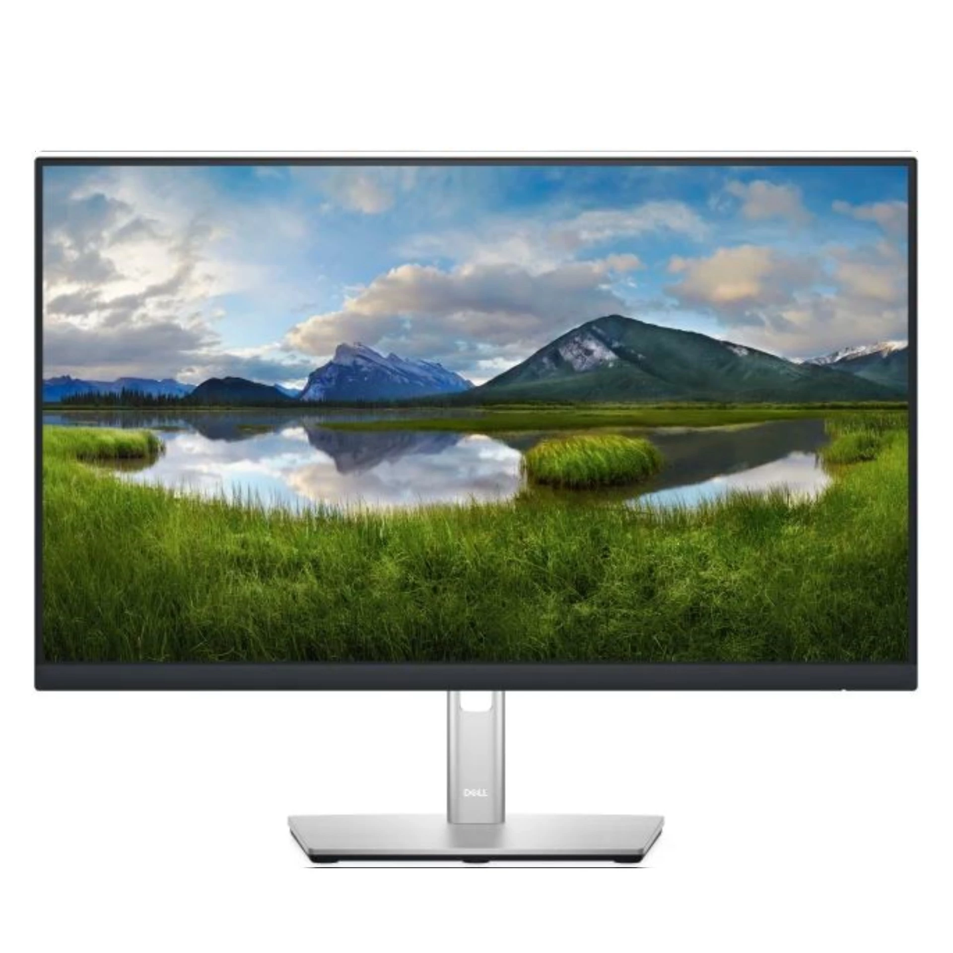 Dell Monitor P2422H IPS 23.8"