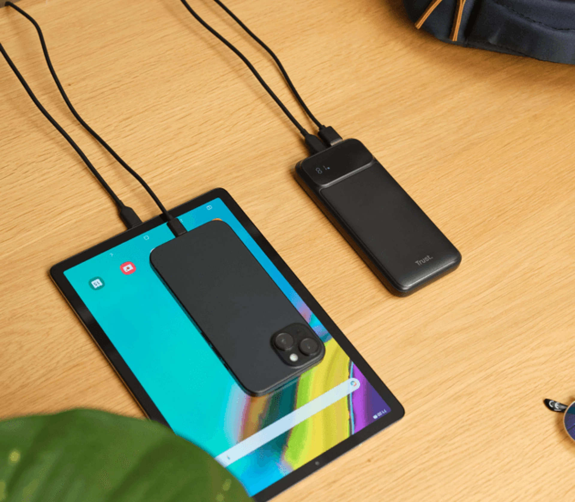 Trust Avala Powerbank 10000 mAh