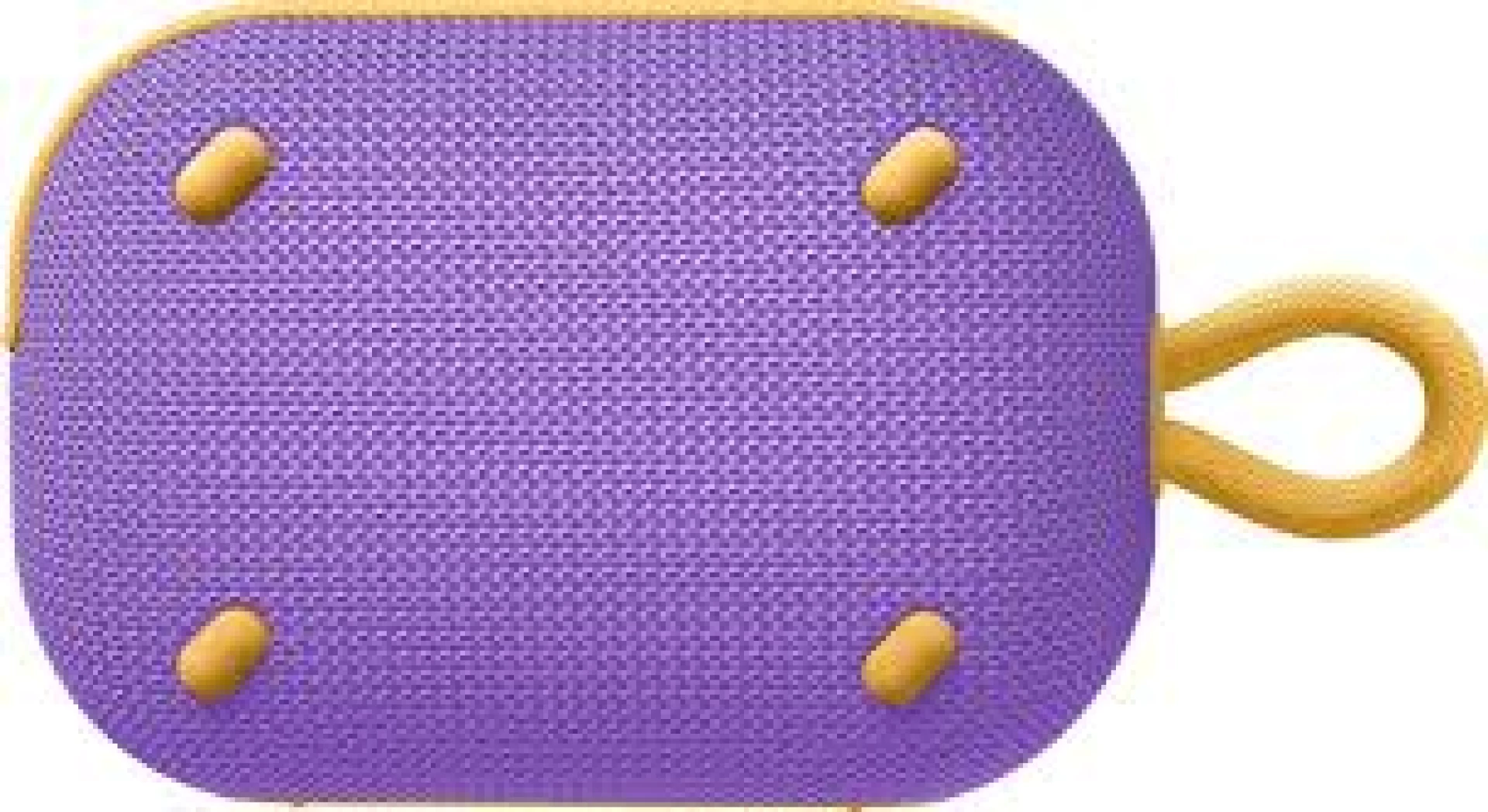 Soundcore Bluetooth zvučnik Select 4 Go Ljubičasta