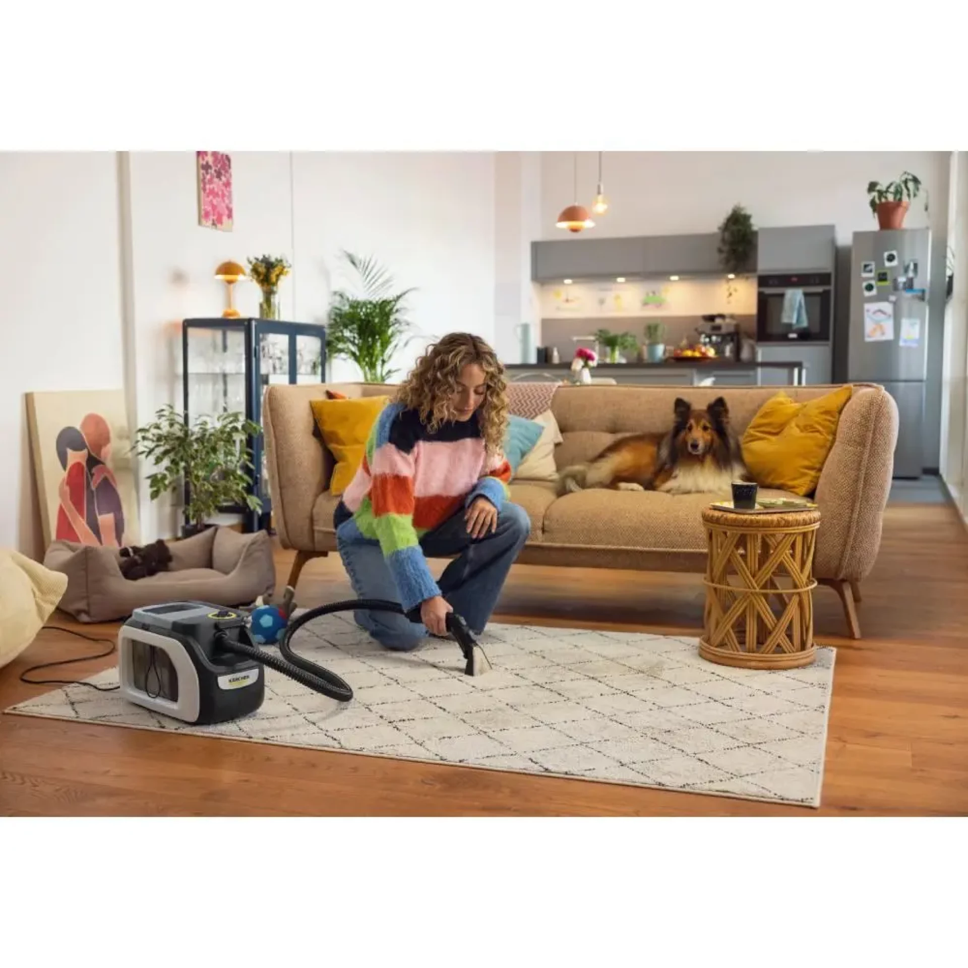 Karcher SE3 Compact Home Usisivač za dubinsko čišćenje