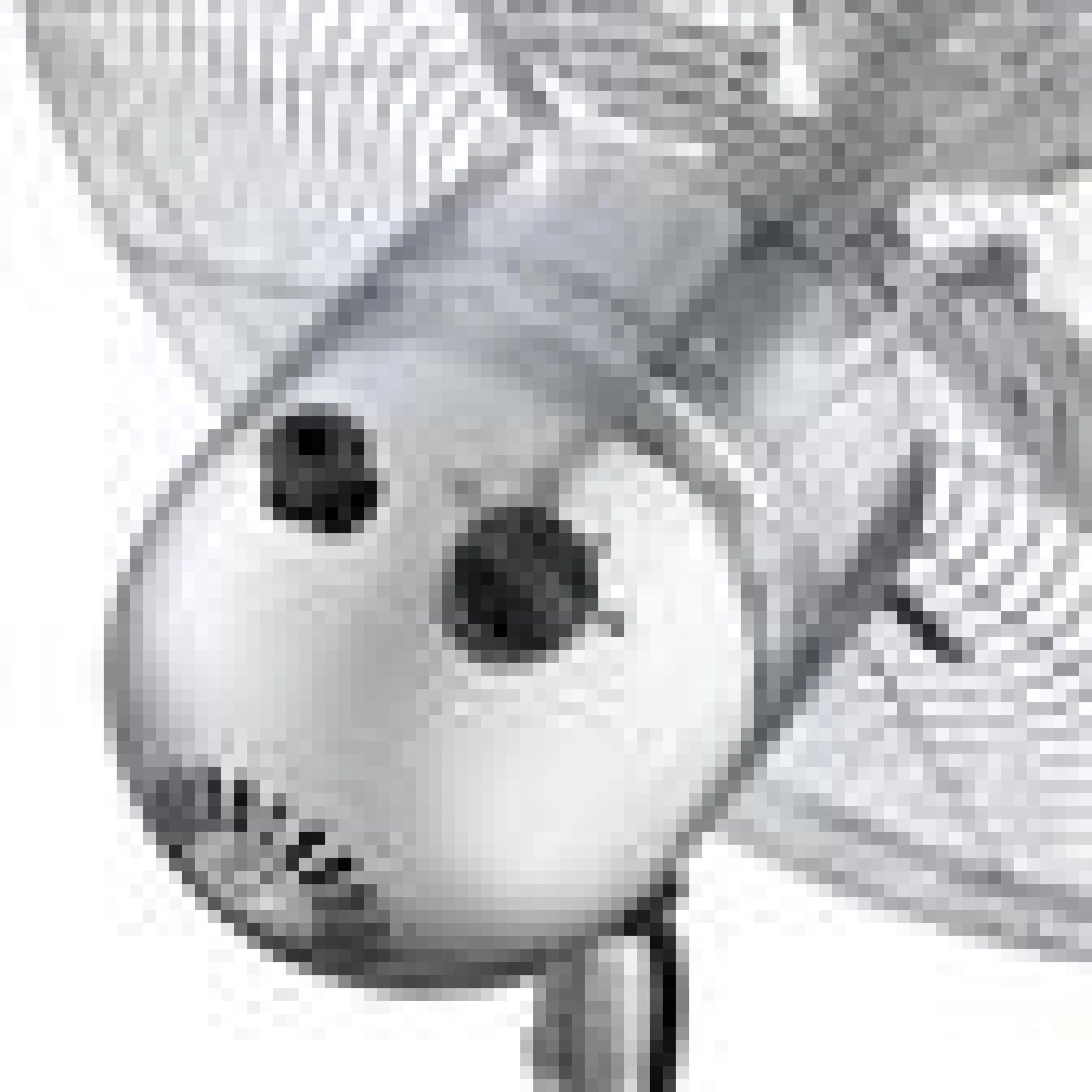 Tristar Ventilator stojeći VE-5804 