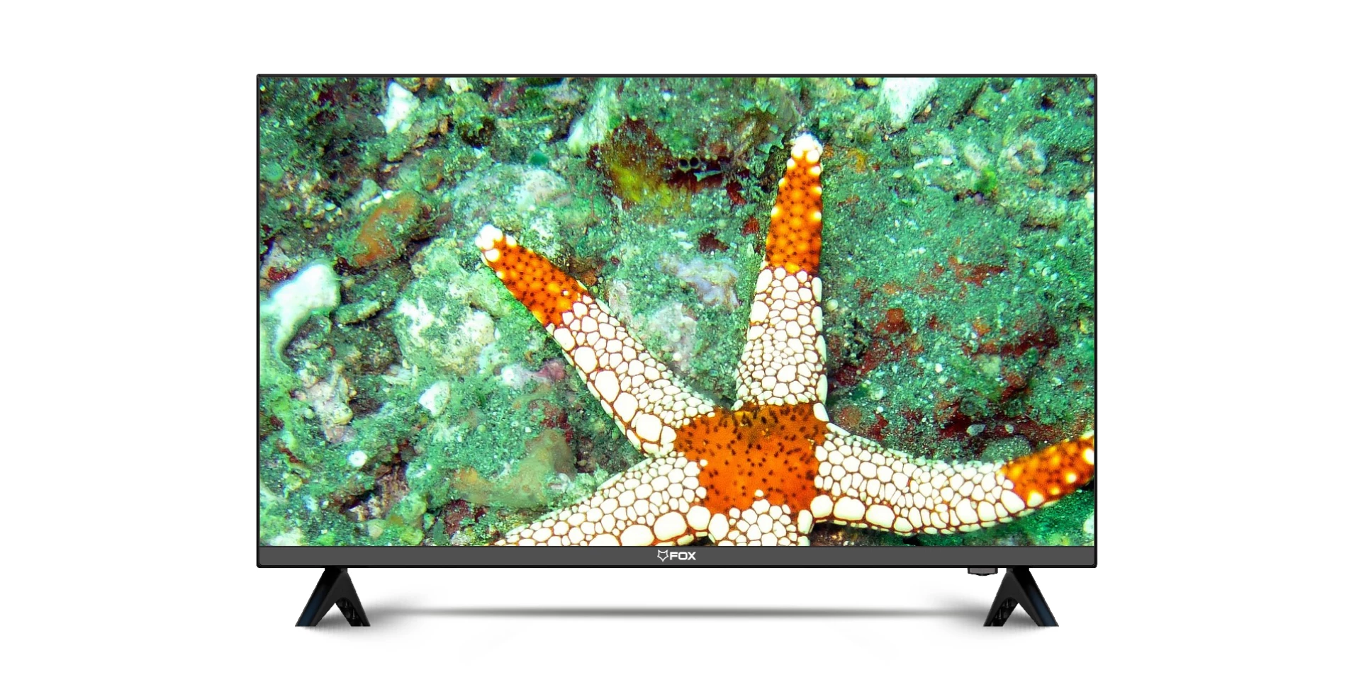 Fox 32DTV231E LED TV 32 HD Ready