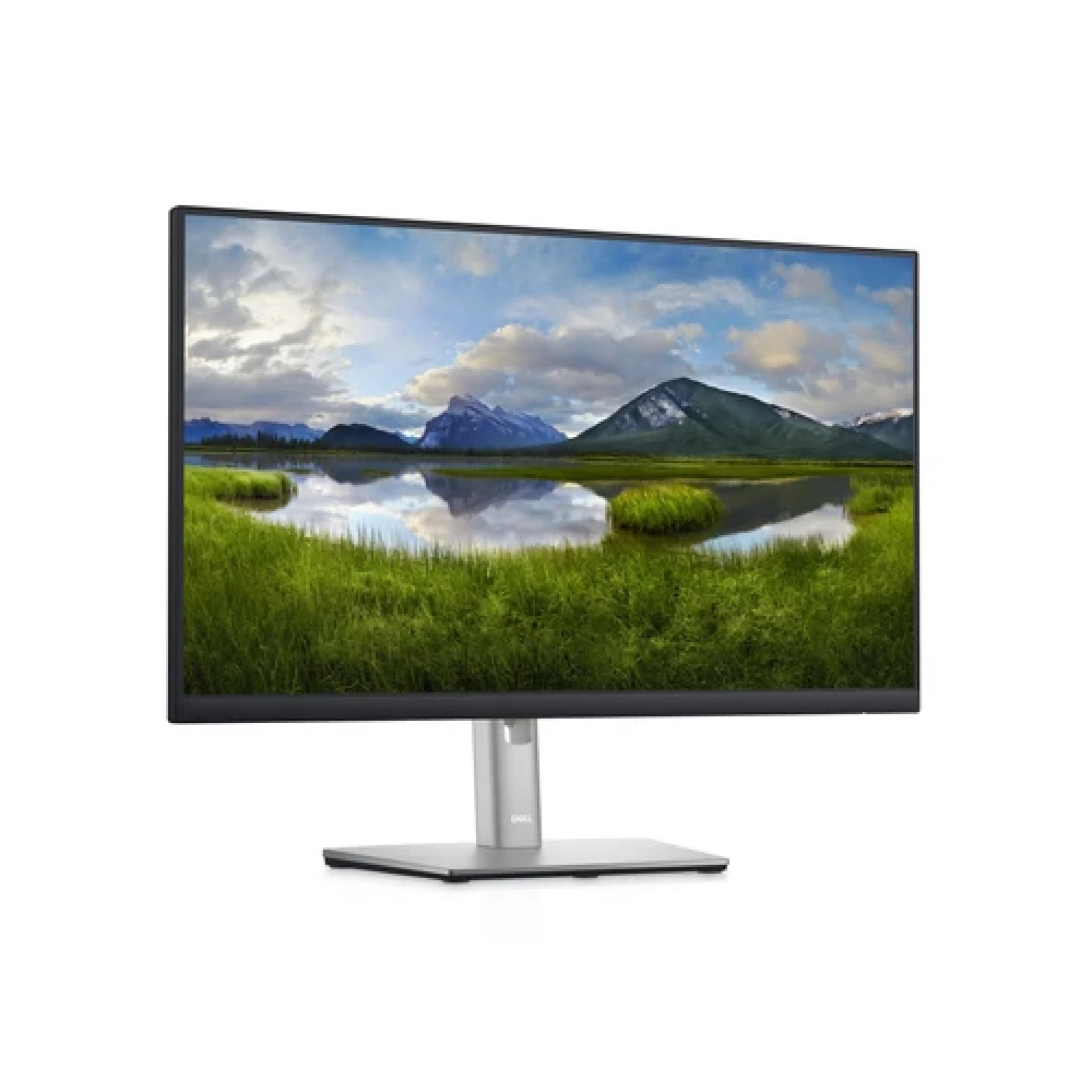 Dell Monitor P2422HE IPS 23.8"