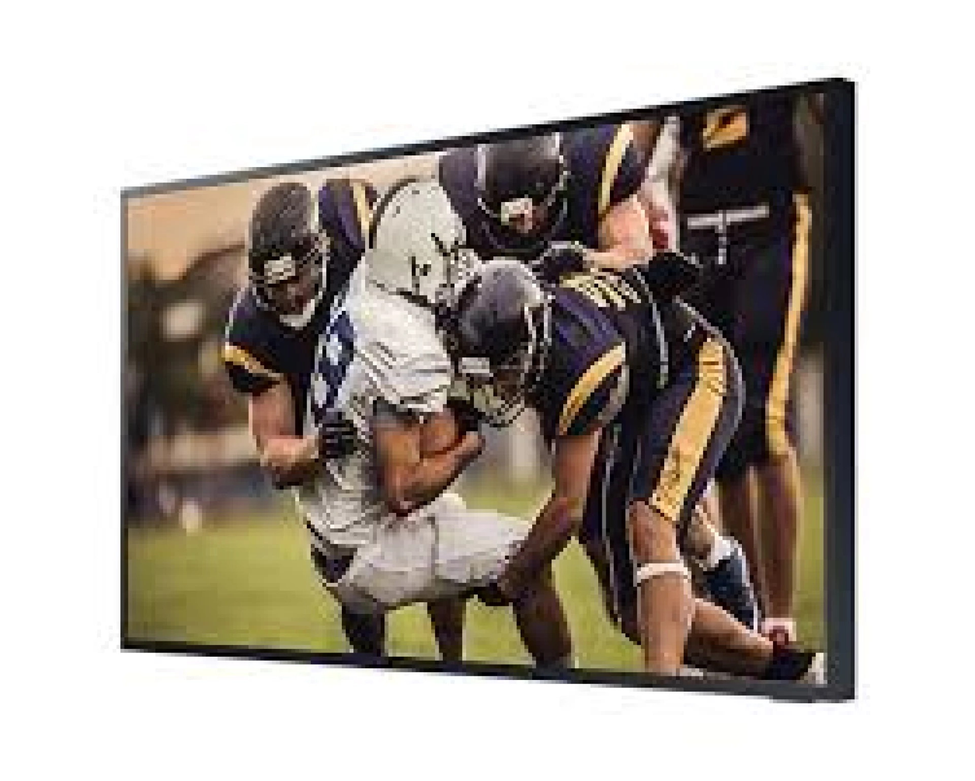 Samsung QE65LST7TGUXXH The Terrace 65" 4K Ultra HD QLED