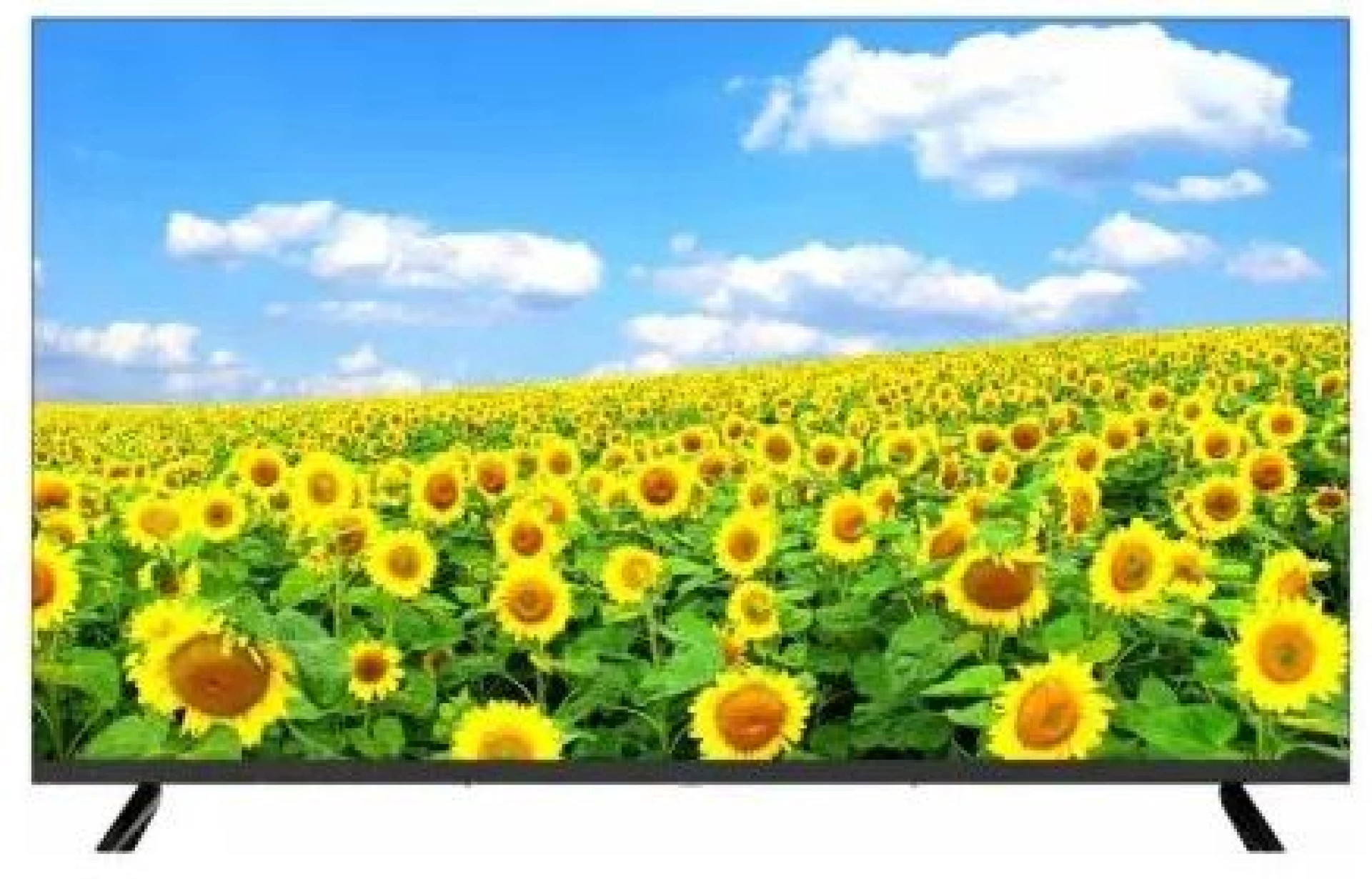 AIwa WS-551N Smart TV 55" 4K Ultra HD webOS